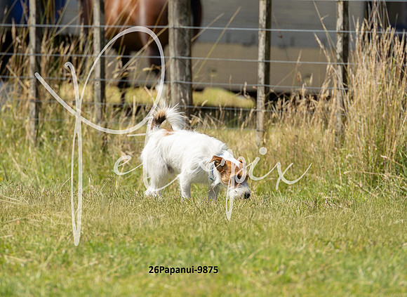26Papanui-9875