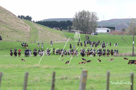 Tarahill-0684