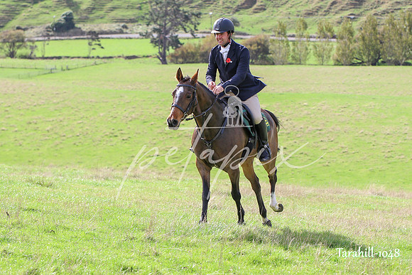 Tarahill-1048