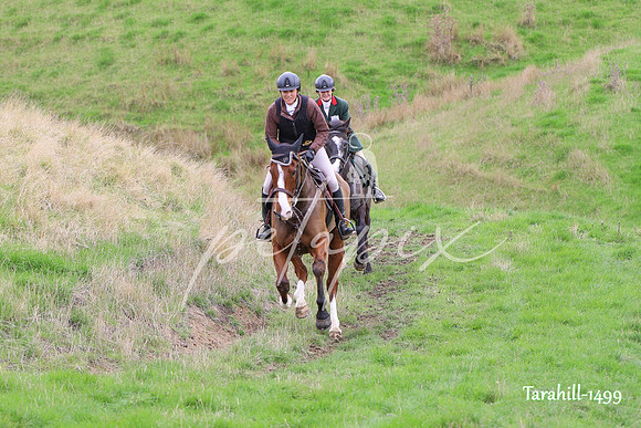 Tarahill-1499