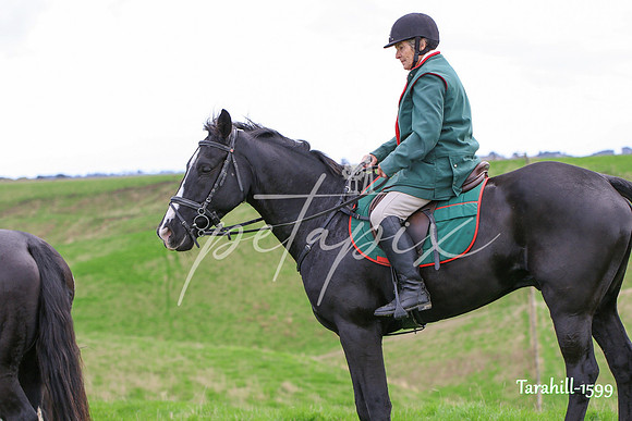 Tarahill-1599