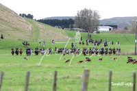 Tarahill-0685