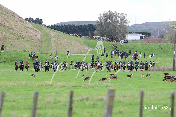 Tarahill-0685