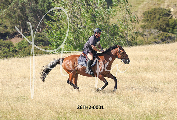 26TH2-0001