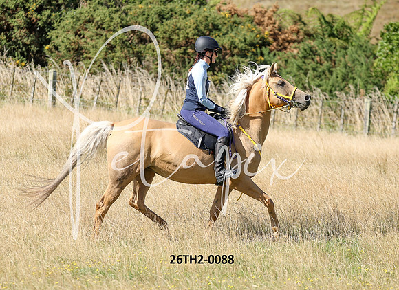 26TH2-0088