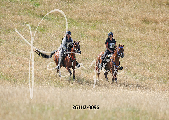 26TH2-0096