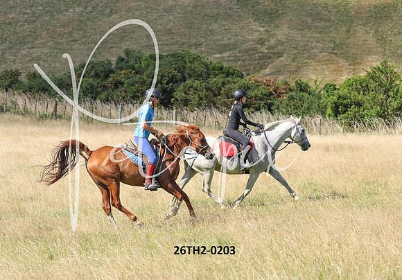 26TH2-0203