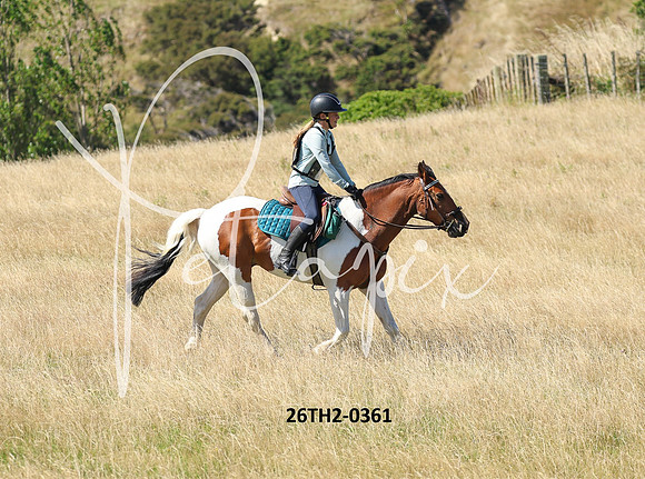 26TH2-0361
