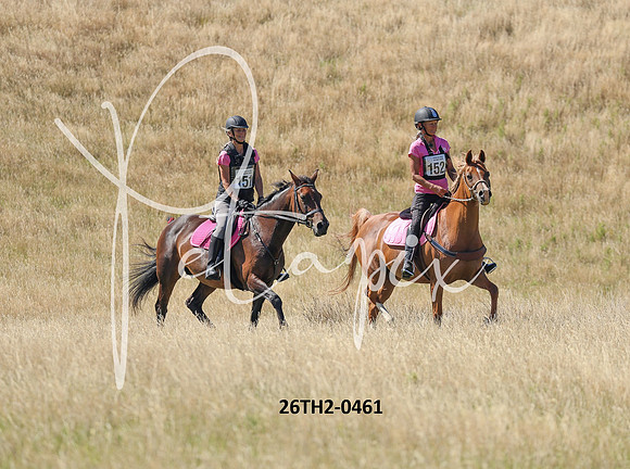 26TH2-0461