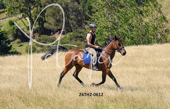 26TH2-0612