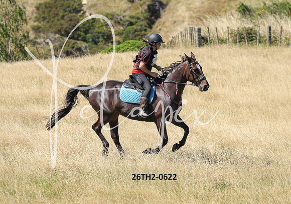 26TH2-0622