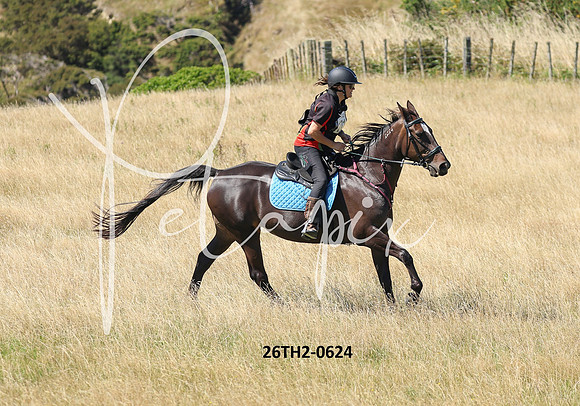 26TH2-0624