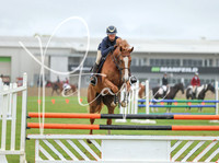 Saturday - Ring 2 Class 12 5 y.o