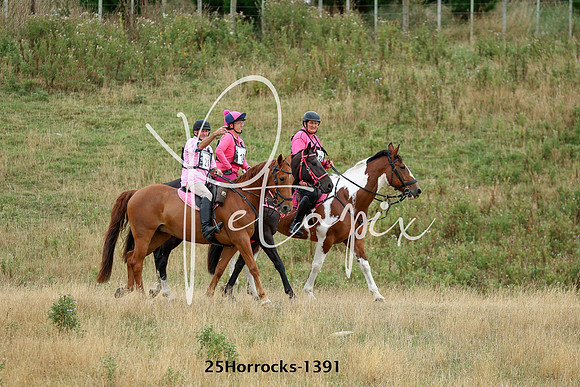25Horrocks-1391