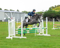 SUNDAY - Ring 3 Class 40 intro horse - few only