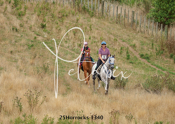 25Horrocks-1340