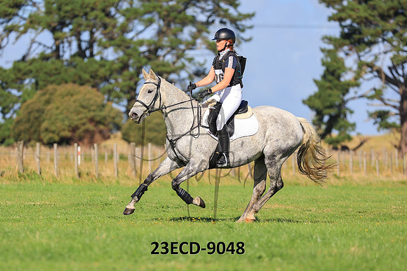 23ECD-9048