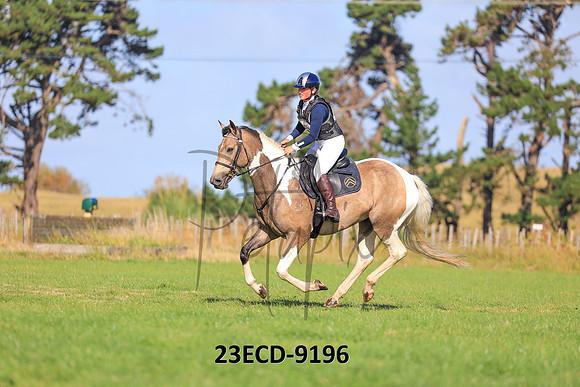 23ECD-9196