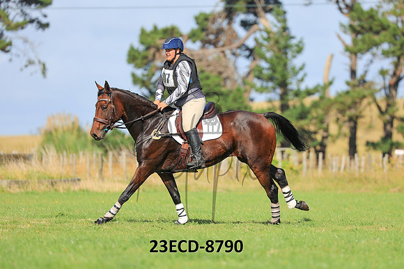 23ECD-8790