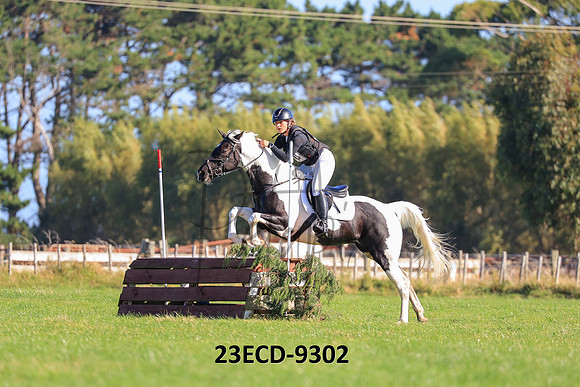 23ECD-9302