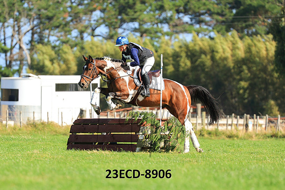 23ECD-8906
