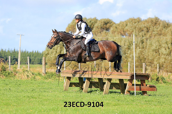 23ECD-9104