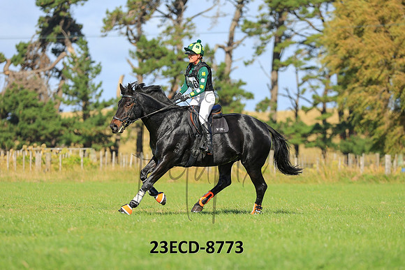 23ECD-8773