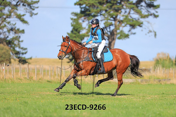 23ECD-9266