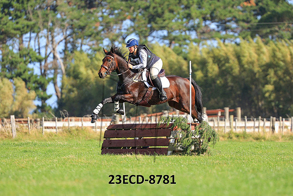 23ECD-8781