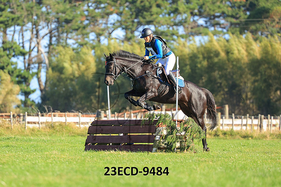 23ECD-9484
