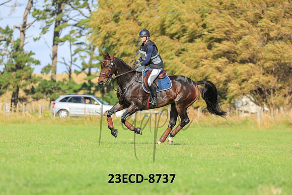 23ECD-8737