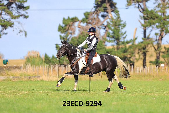 23ECD-9294
