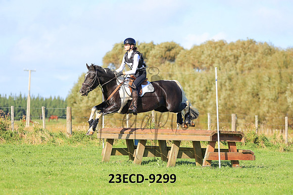 23ECD-9299