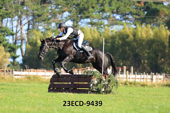 23ECD-9439