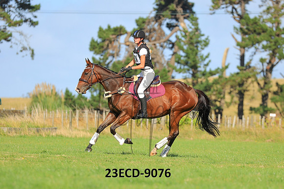 23ECD-9076