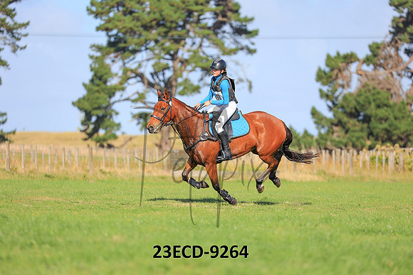 23ECD-9264