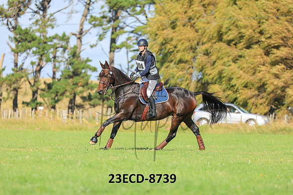 23ECD-8739
