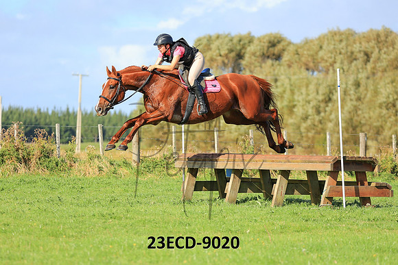 23ECD-9020