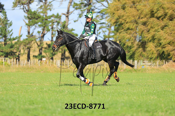 23ECD-8771