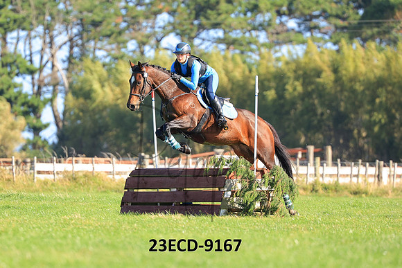 23ECD-9167