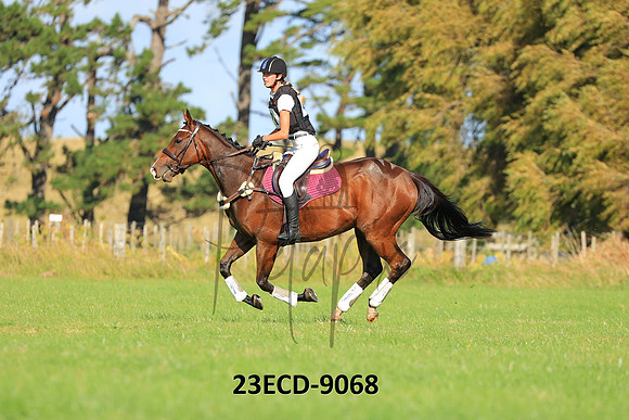 23ECD-9068