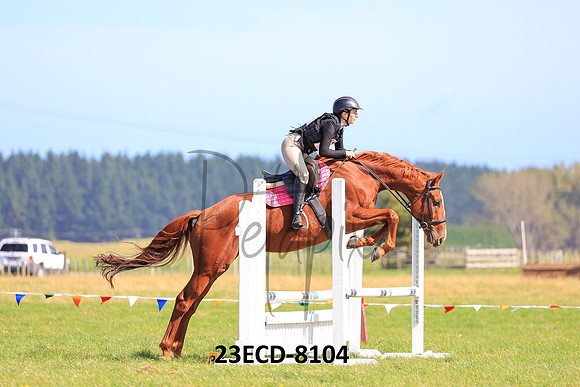 23ECD-8104