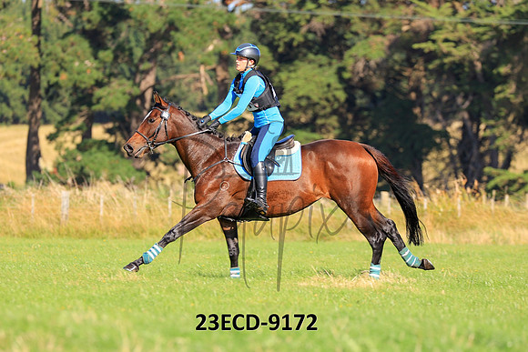 23ECD-9172