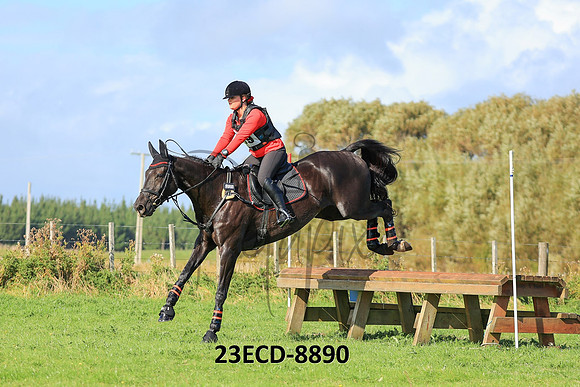 23ECD-8890