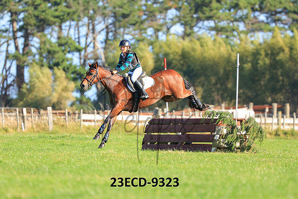 23ECD-9323
