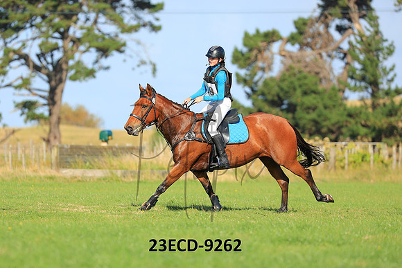 23ECD-9262