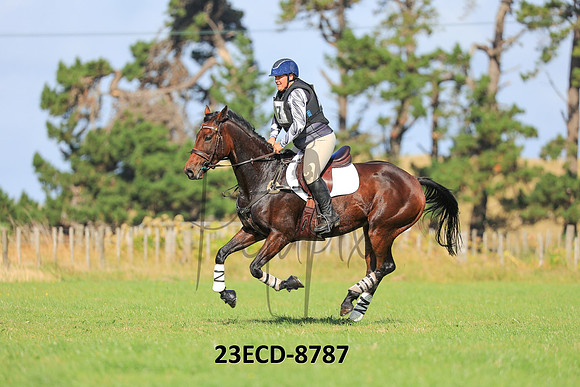 23ECD-8787