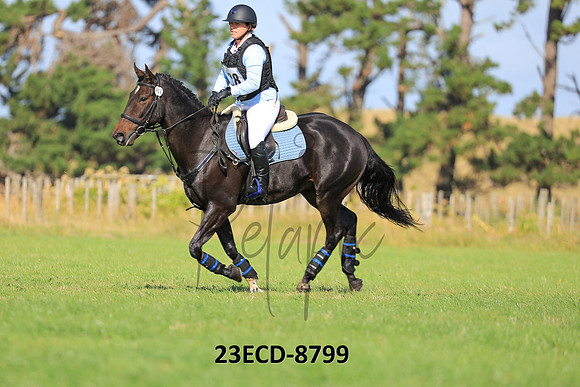 23ECD-8799