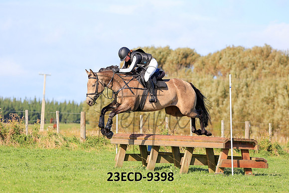 23ECD-9398