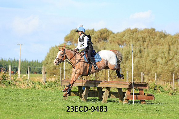 23ECD-9483